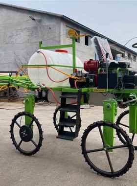 220303虫乘坐式小型四轮打药机 药玉米高底盘杀喷药车 高压四轮打