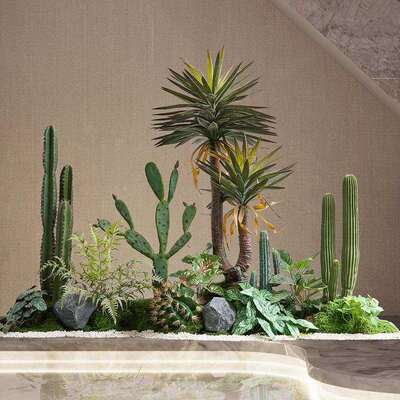 仿真绿植室内楼梯下造景仿真仙人掌摆件转角盆栽景观植物造景装饰