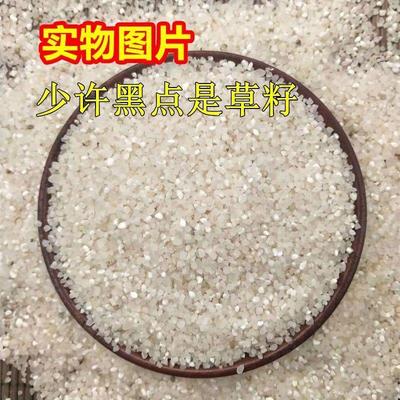 10斤5公斤钓鱼东北碎米狗粮酿酒喂鸡低价饲料便宜大米打窝料