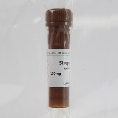 bioFroxx 1568MG100链脲佐菌素Streptozocin 18883-66-4 100mg/瓶
