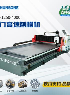 龙门高速刨槽机 HSL开槽机12504000 小型立式自动送料开槽机