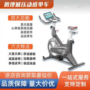 VR心理宣泄单车体感骑行智能运动反馈心理咨询室设备减压体验馆