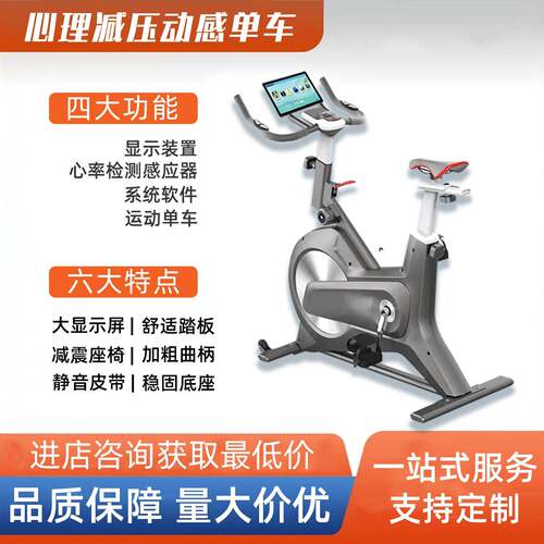 VR心理宣泄单车体感骑行智能运动反馈心理咨询室设备减压体验馆
