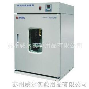 供应苏州微生物培养箱DNP 9082电热恒温培养箱细菌培养箱