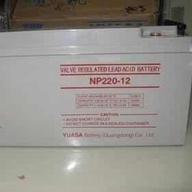 汤浅蓄电池NP220-12 汤浅蓄电池12V220AH 铅酸免维护蓄电池 汤浅