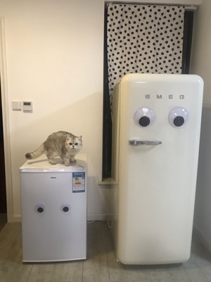 惠康60l家用小型商用大容量冷冻柜怎么样？用后一周发现软肋