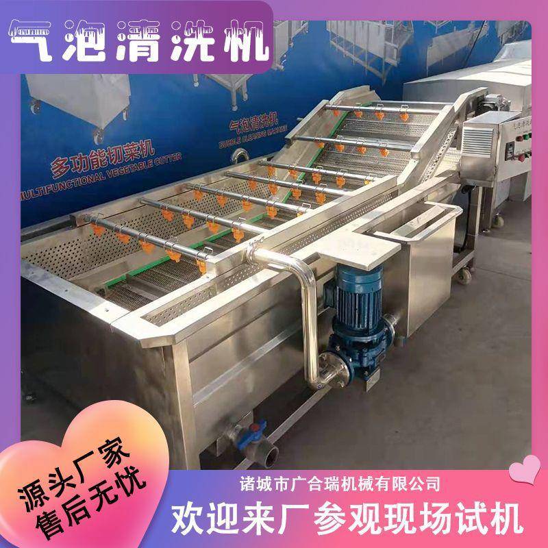 厂家供应韭菜果蔬气泡清洗机圣女果桑葚高压清洗设备商用洗菜机