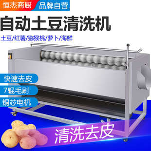 恒杰大型土豆去皮机商用脱皮机 萝卜生姜莲藕红薯芋头毛辊清洗机