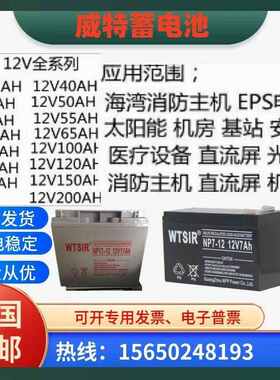 WTSIR威特蓄电池NP65-12/12V17AH24AH38AH65AH100AH120AH消防电梯