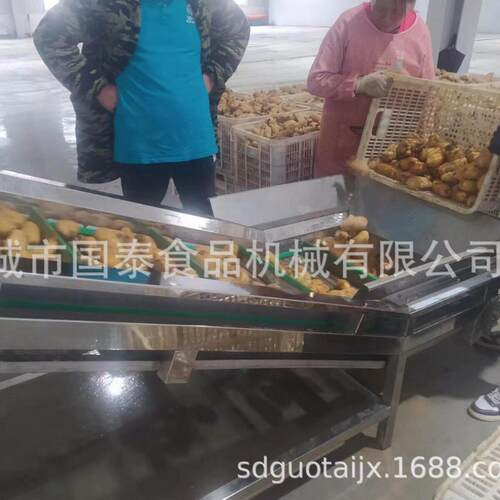 国泰优品乌天麻深加工设备 清洗蒸制切片烘干 天麻清洗蒸煮烘干线