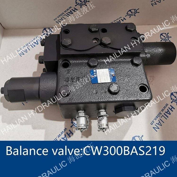 DownMax Motor Balance Valve 平衡阀CW300BAS219 舱盖液压控制阀