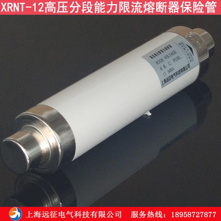 10KV高压熔断管XRNT1-12 户内高压限流熔断器 10KV变压器熔管