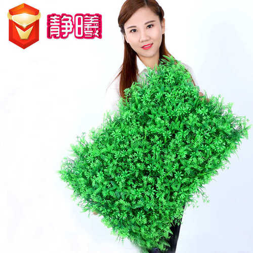 仿真植物墙草坪装饰五福草草坪尤加利草仿真草坪仿真植物墙绿植墙