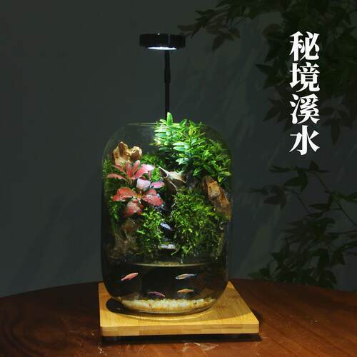 创674意桌微景观办公室面植盆栽耐免养打理生态瓶绿可养鱼流水造