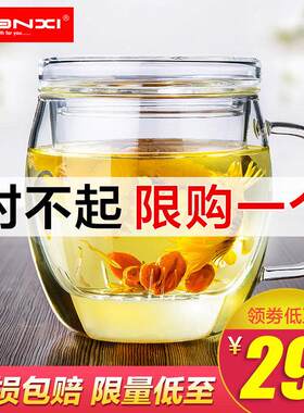 天喜玻璃杯水杯花茶杯带盖子带把杯子男女喝水办公室泡茶杯过滤茶