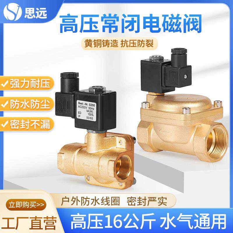 高压电磁阀常闭黄铜先导式水阀气体4分220v12v24大流量电磁控制阀