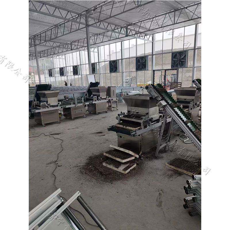 西南地区农业育苗播种机全自动覆土压穴播种流水线蔬菜种子点播机