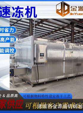鸡肉速冻机商用 大型带冷源速冻设备低温快速冷冻机厂家 金源盛