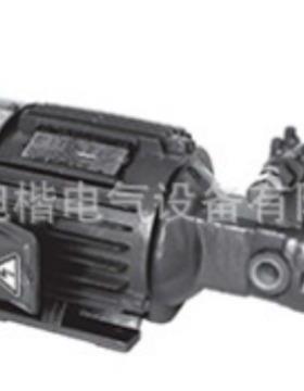 AMTP-400-206AHVBAMTP-206AHVB1/2HP0.4KWA-RYUNG电机泵组