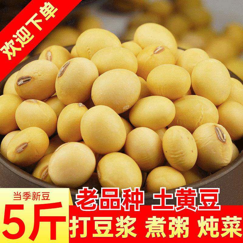 椭圆形笨黄豆5斤老品种大豆本土豆浆酱豆菜豆豆酱发豆芽豆腐豆皮