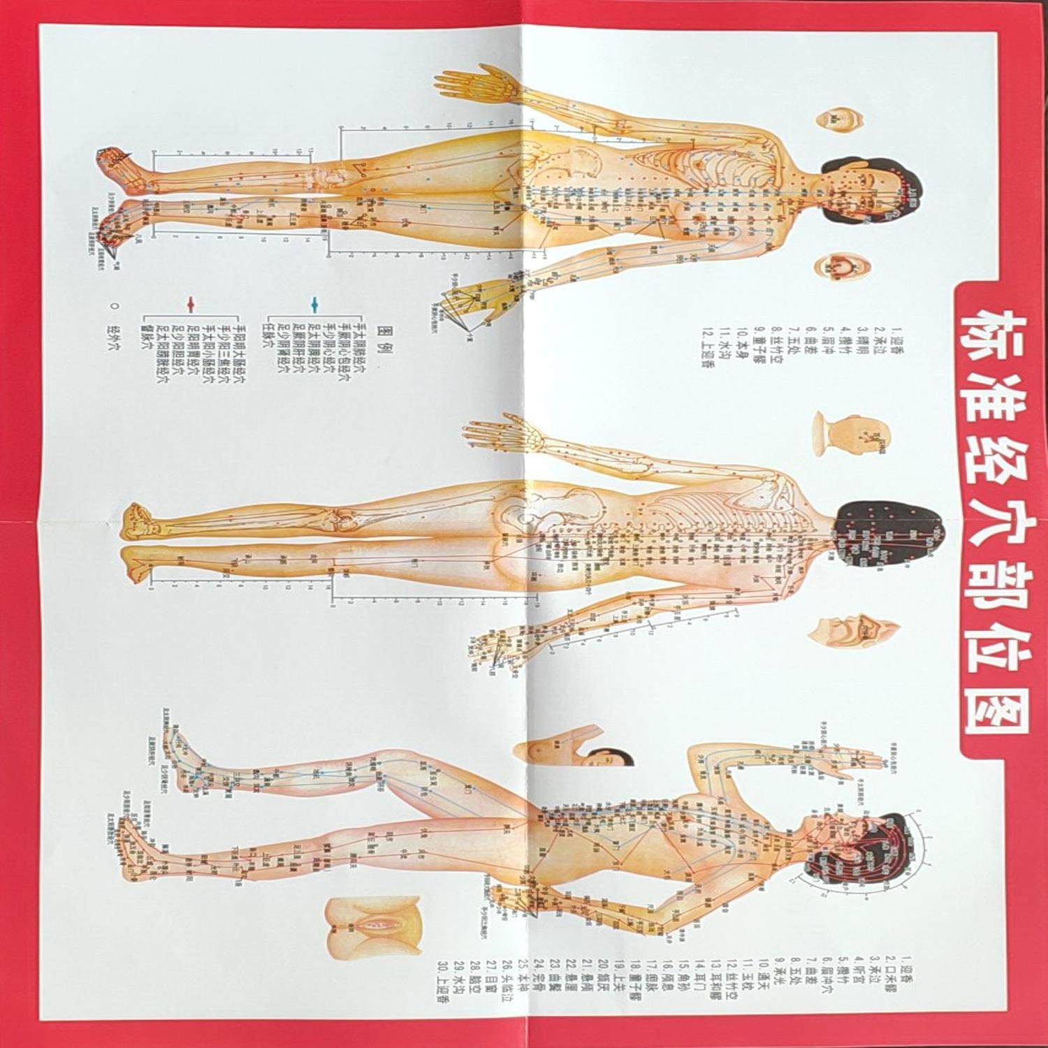 厂家批发现货按摩温熏调理器配件