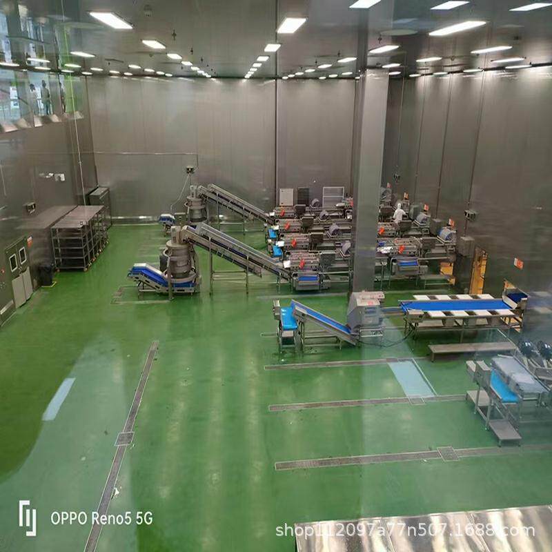 厂家直发水果蔬菜清洗加工生产线预制菜半成品加工 净菜漂烫机器