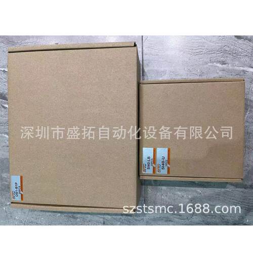 DS1-B1P 气缸磁性开关