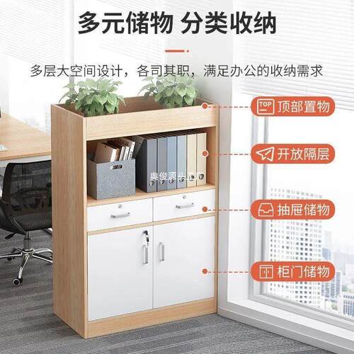 柜柜子文件柜办公室柜资料柜断柜隔木质AS546546花柜带锁矮收纳储
