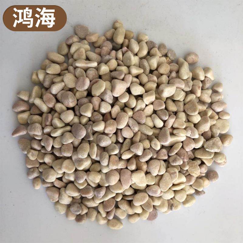 水磨黄色洗米石水洗石雨花石 胶粘石鹅卵石碎石园林地面铺路造景