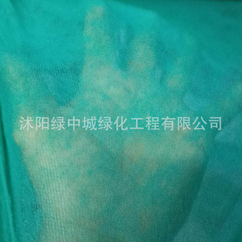 边坡护坡植草园林绿化无纺布保湿育苗绿色膜工地盖土布草坪无纺布