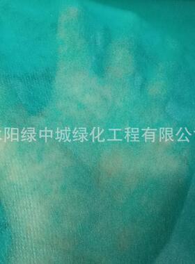 边坡护坡植草园林绿化无纺布保湿育苗绿色膜工地盖土布草坪无纺布