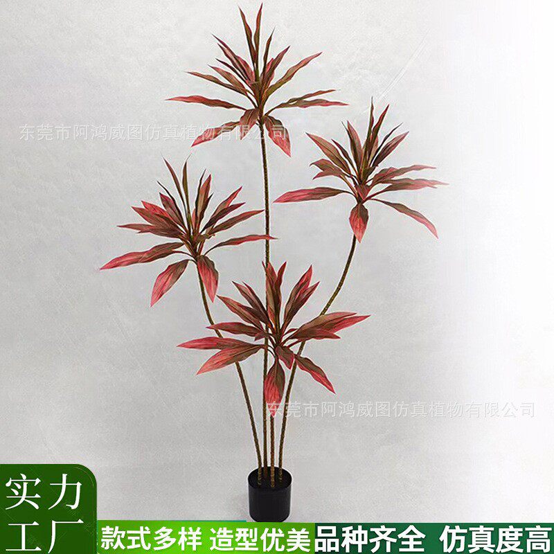 仿真绿植朱蕉彩叶朱焦盆栽北欧室内摆件造景绿叶植物装饰清新