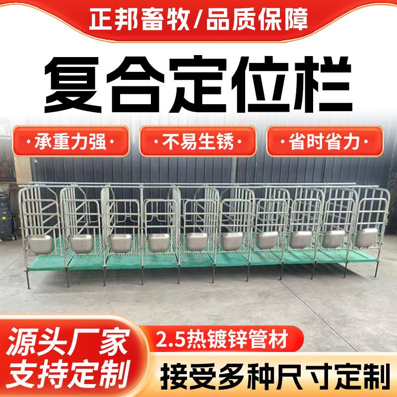 母猪定位栏养猪场设备热镀锌定位栏带漏粪板猪用复合定位栏限位栏