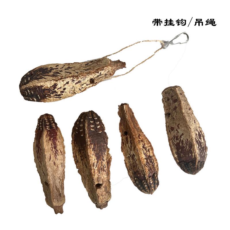 中小型鹦鹉天然杨桃果干片啃咬磨嘴补充维他命玄凤虎皮奖励鸟玩具