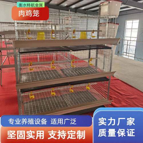 三层立式肉鸡笼镀锌防锈半自动养鸡设备鸡笼养殖场鸡舍