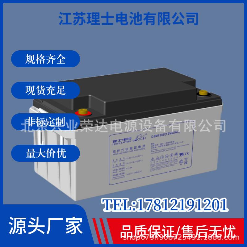 拉萨理士蓄电池DJM12100太阳能蓄电池12V100AH胶体免维护蓄电池