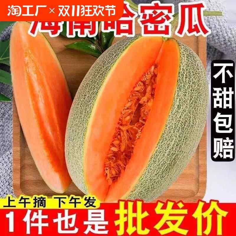 海南哈密瓜9斤当季新鲜水果一整箱网纹甜瓜孕妇西州蜜瓜香瓜包邮