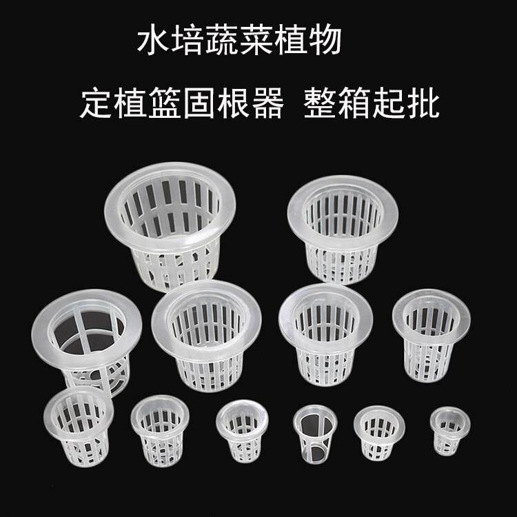 水培植物蔬菜定植篮(整箱起批)阳台无土栽培定植杯加深固根器