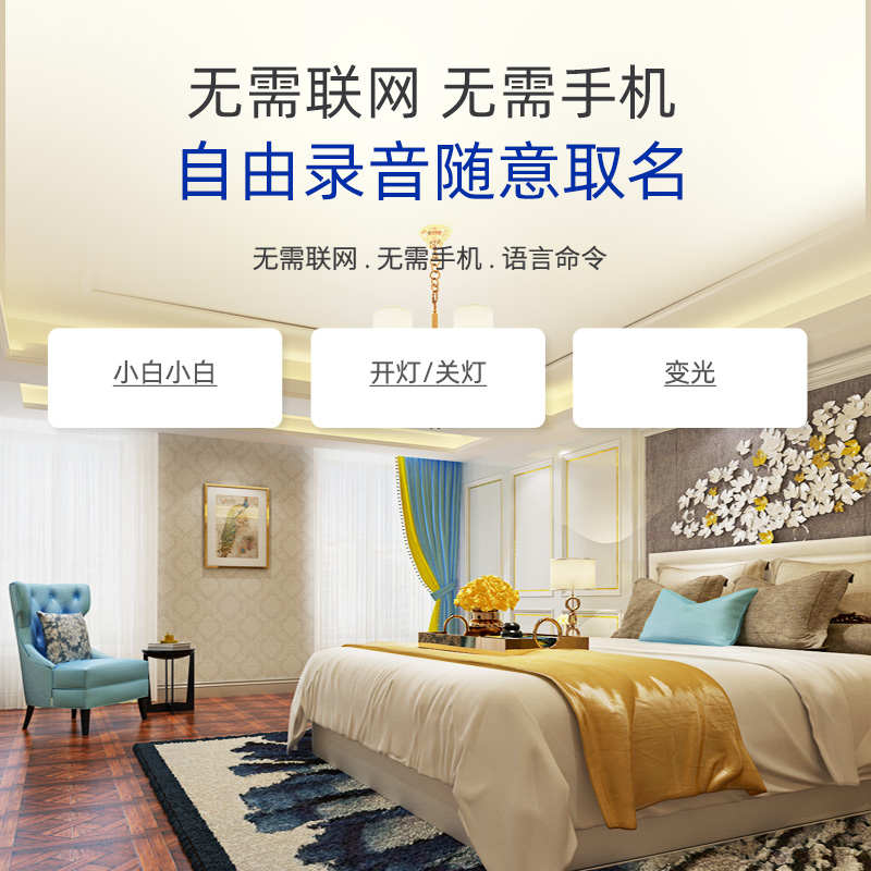 方言语音开关声控灯智能语音遥控通断离网控制器自定义口令自更名