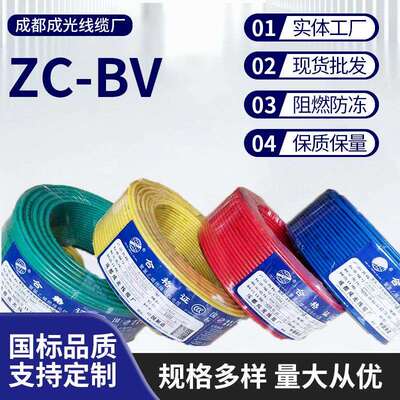 ZR-BV聚氯乙烯绝缘阻燃电线ZC-BV家装铜芯硬铜单线工业电工电气
