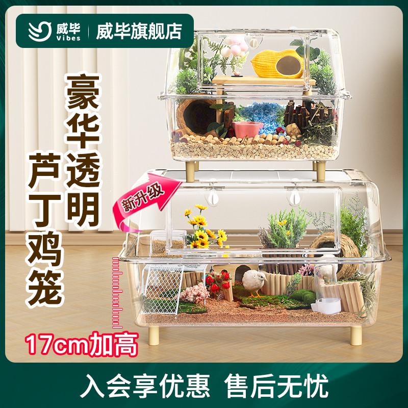 芦丁鸡饲养箱笼子大号亚克力透明观赏卢丁室内保温全套造景专用品