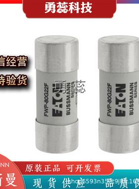 熔断器FWP-80G22FFWP-100G22FFWP-8G14FI