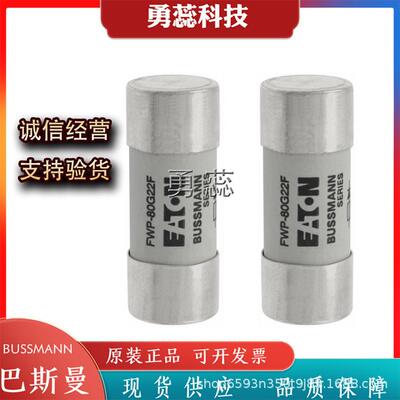 熔断器FWP-80G22FFWP-100G22FFWP-8G14FI
