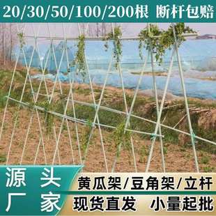 黄瓜搭架杆杆子竹竿玻纤瓜架西红柿架子爬藤支架阳台瓜果藤架固定