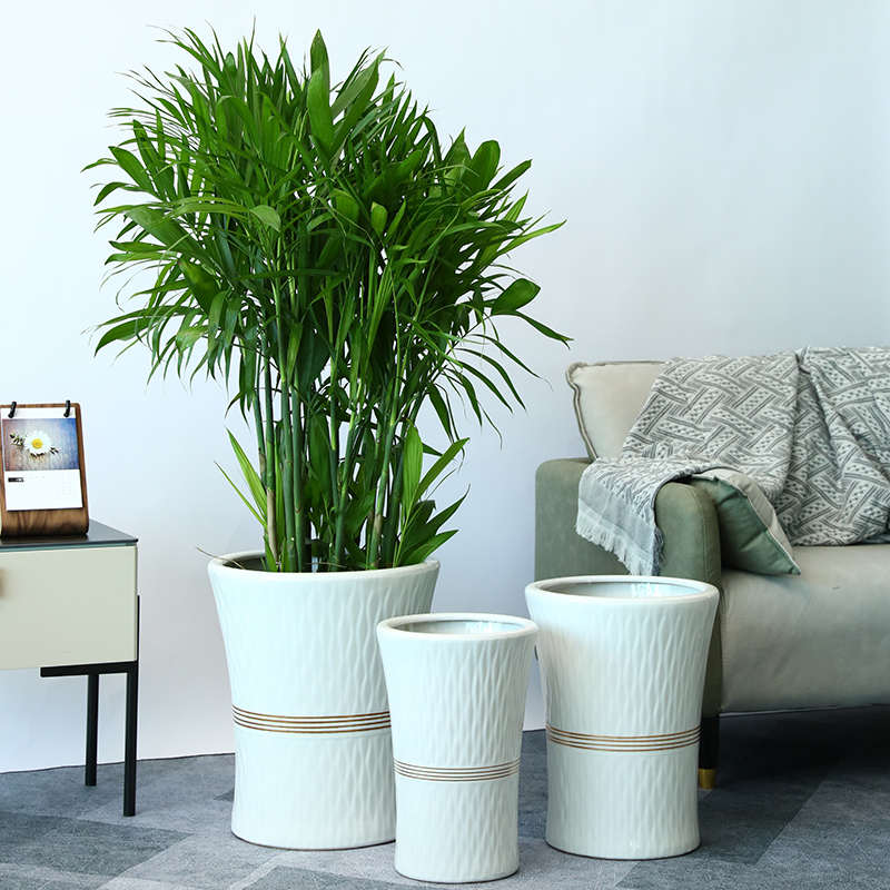 花盆陶瓷特大码高款客厅家用绿萝散尾葵白色发财树金钱树专用惠