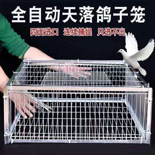 新款户外救助笼猫笼兔笼鸡笼鸽子笼镀鉻防锈有进无出大尺寸笼