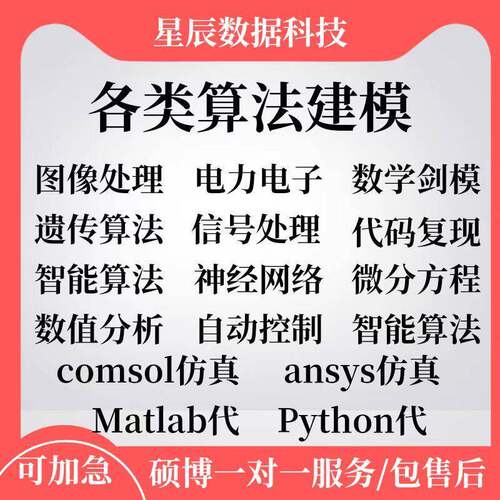数学建模帮做Matlab代码帮做python代码路径规画深度学习代码覆现