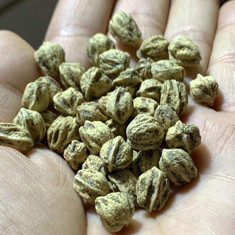 菩提文玩菩提百香子文玩热振百香子文玩百香子原子多棱鬼脸散