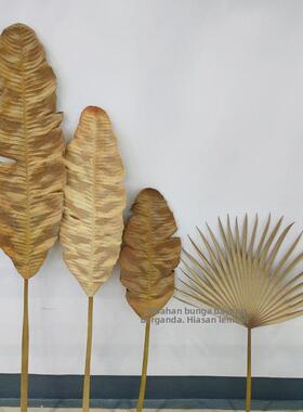 单片原色叶子 造景装饰彷真芭蕉叶蒲扇叶 PU材质彷真枯树叶秋色