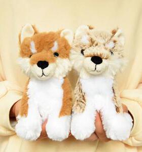iplaybox日本可爱动物毛绒超萌柴犬玩偶家居摆件公仔儿童礼物M号